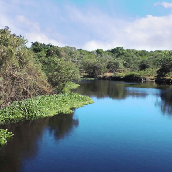 Visitar la Laguna de Chautengo, Cruz Grande – GUERRERO, AVENTURA Y ECOTURISMO